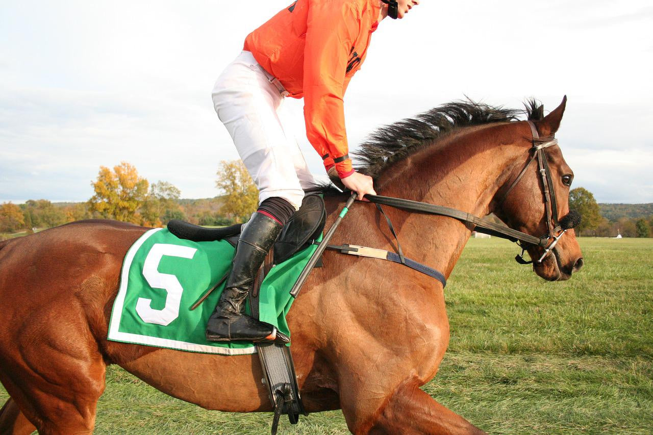 Horse Racing Jockey Saddle: Ultimate Guide to Winning Comfort