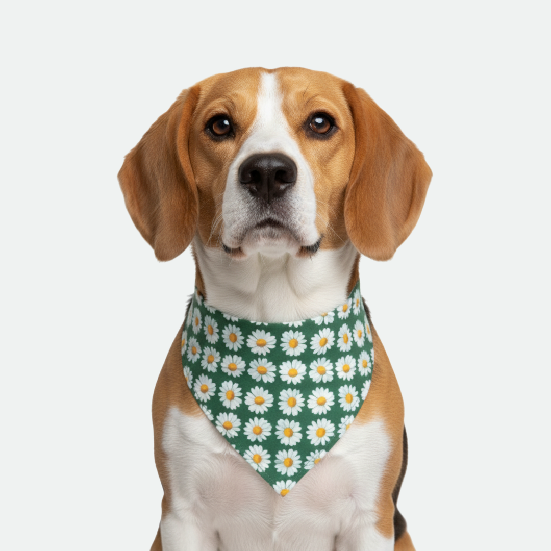 Daisy/Green Dog Bandana