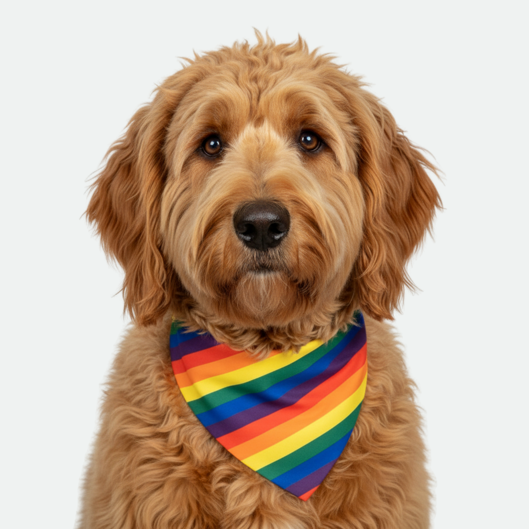 Pride/Red Dog Bandana