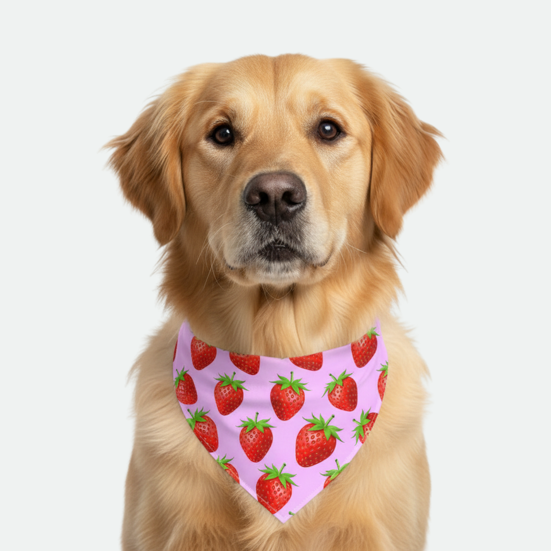 Strawberry/Red Dog Bandana