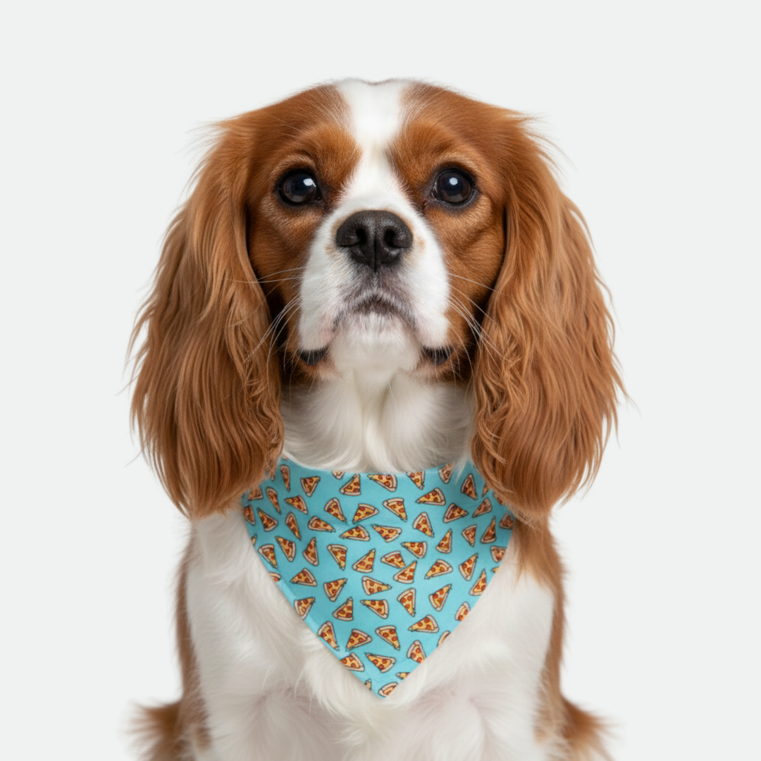Pizza/Teal Dog Bandana