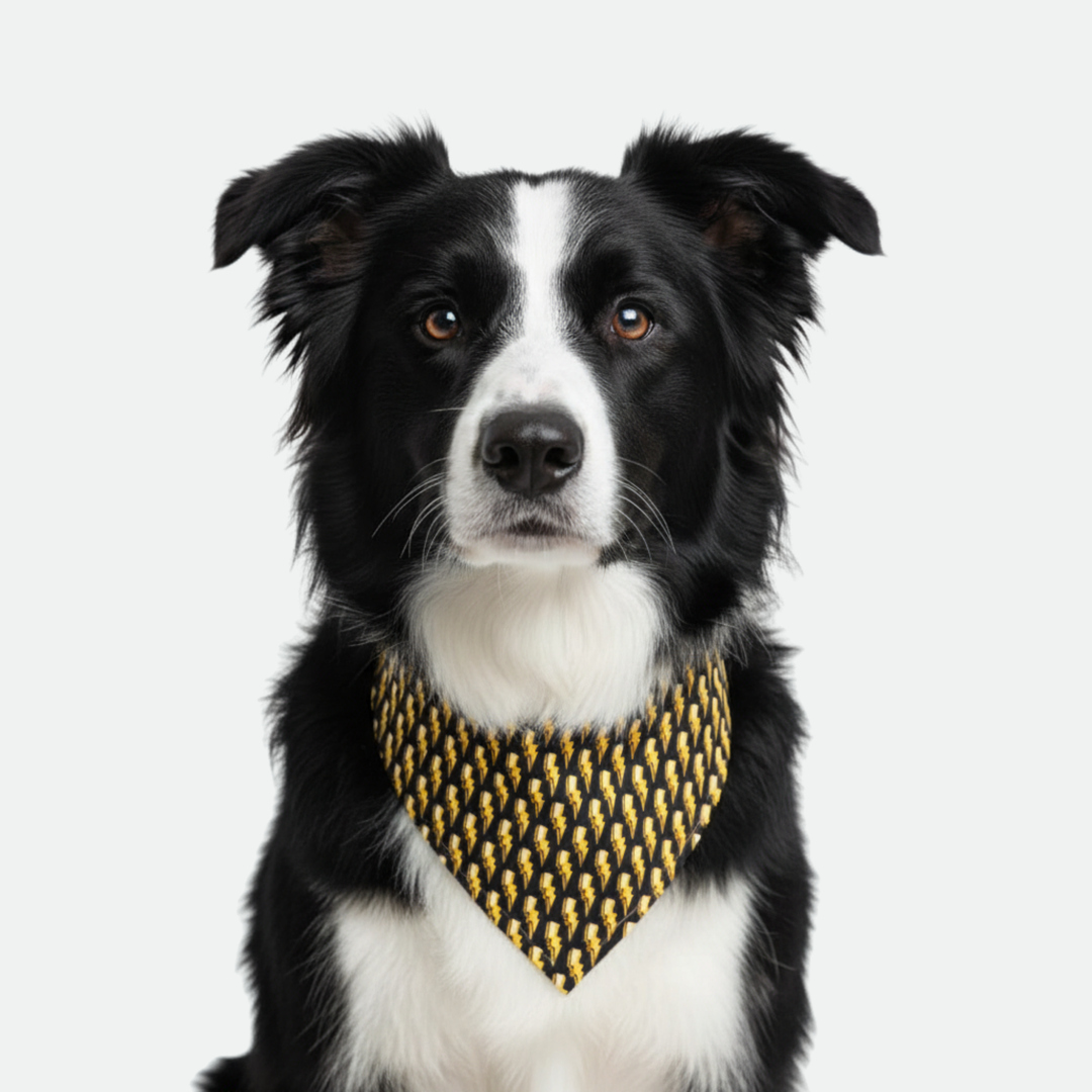 Bolt/Yellow Dog Bandana