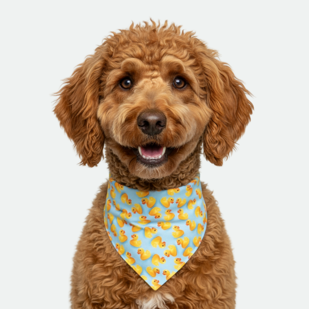 Duck/Blue Dog Bandana