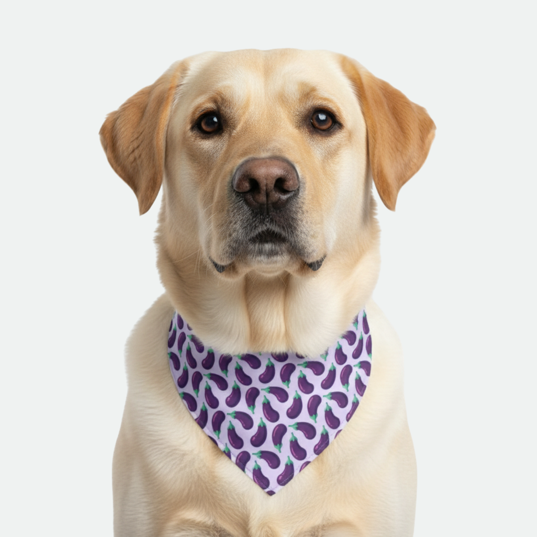 Eggplant/Purple Dog Bandana