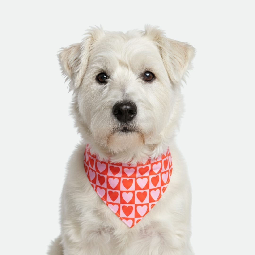 Heart/Pink Dog Bandana