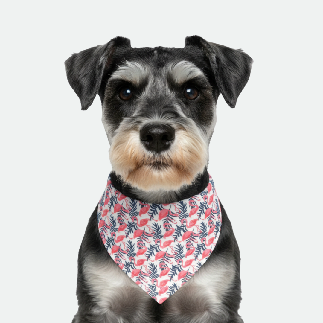 Flamingo/Salmon Dog Bandana
